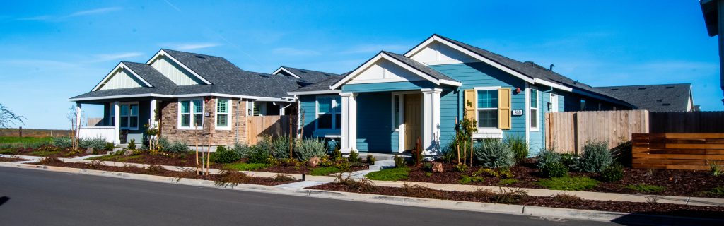 Two modern single-story houses with landscaped front yards on a suburban street under a clear blue sky.