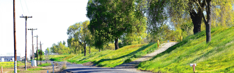 A paved road runs alongside power lines and grassy slopes with trees and a gated dirt path on the right.