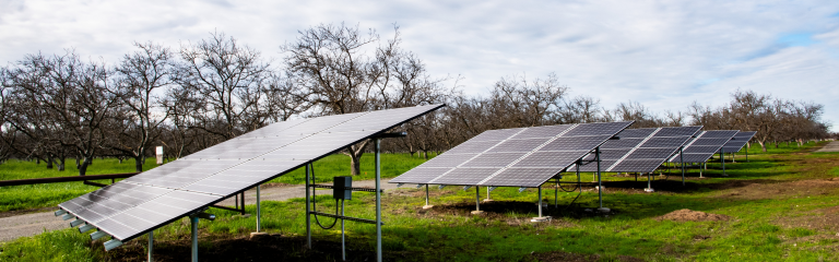 Rows of solar panels installed in a grassy area with leafless trees and a cloudy sky in the background.