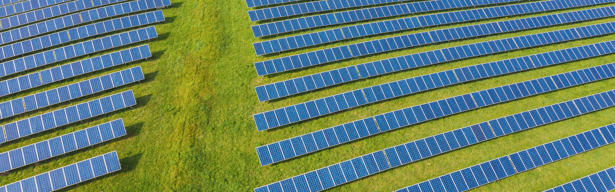 Aerial view of rows of solar panels installed on green grass, forming a solar farm.