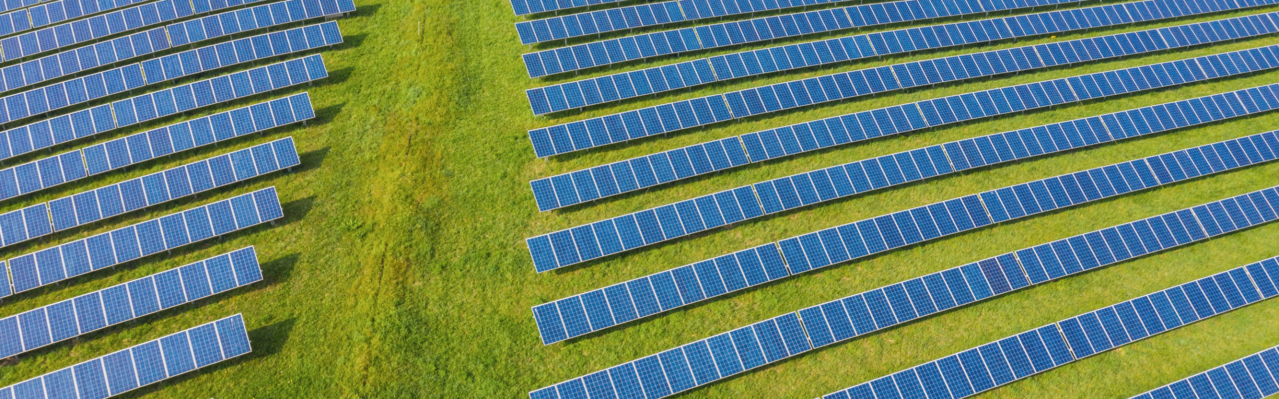 Aerial view of rows of solar panels installed on green grass, forming a solar farm.