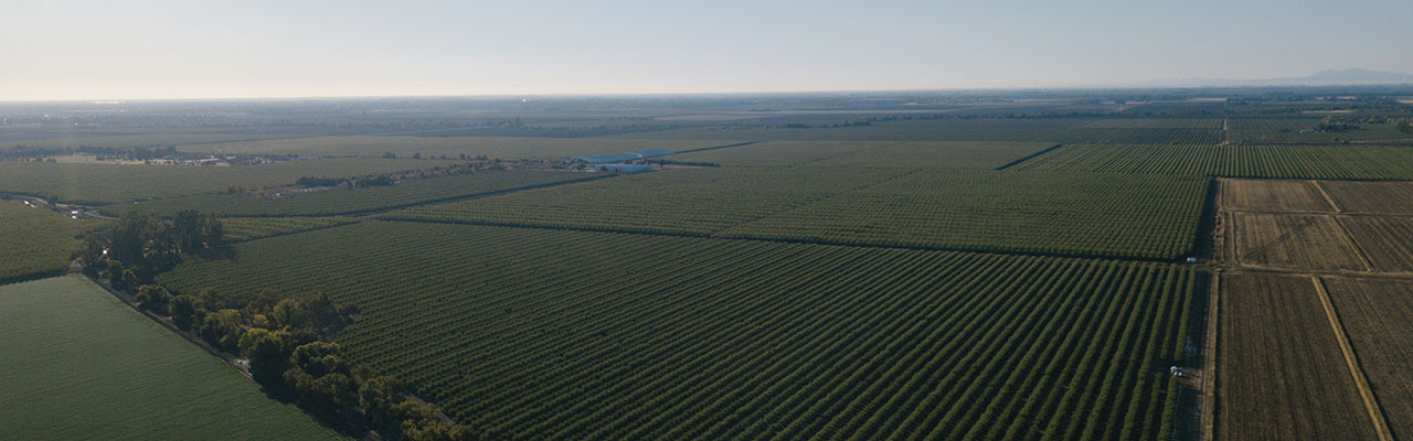 photo of crop field